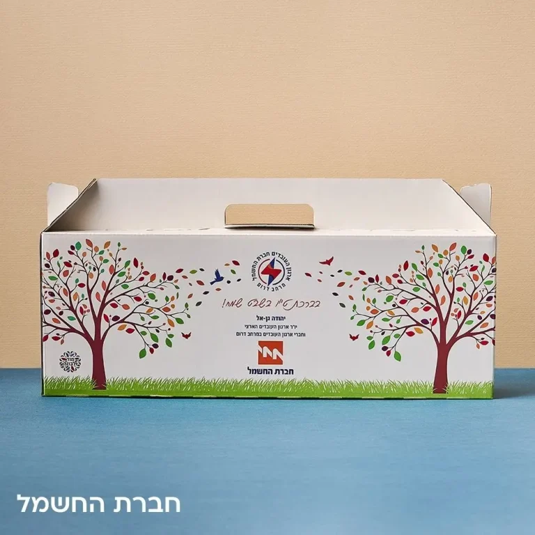 חברת החשמל