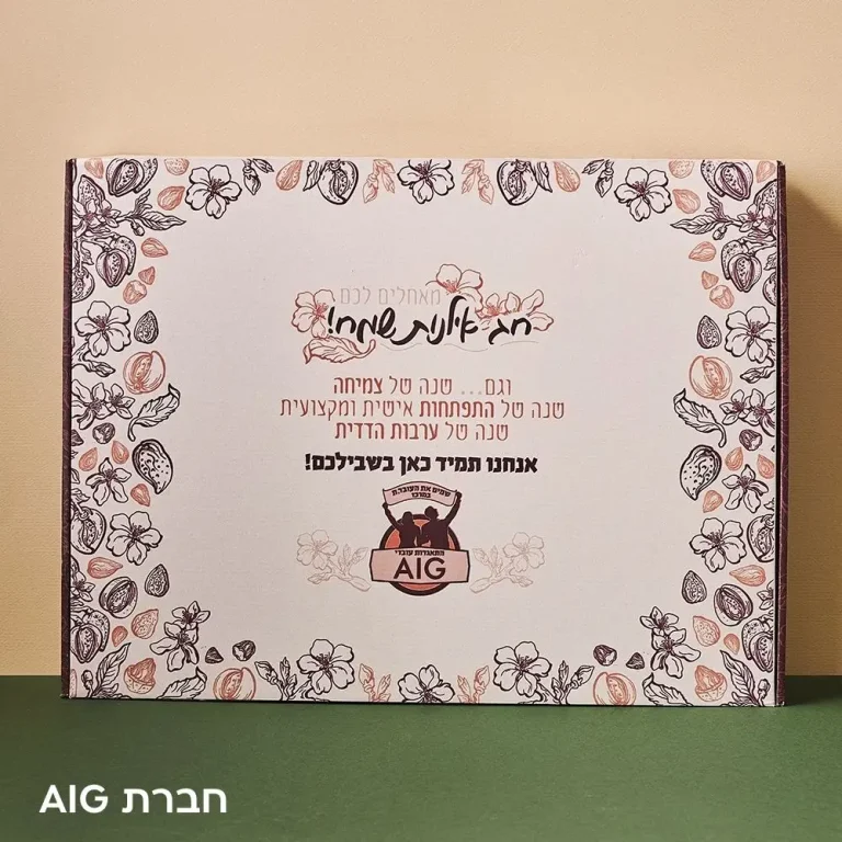 חברת AIG